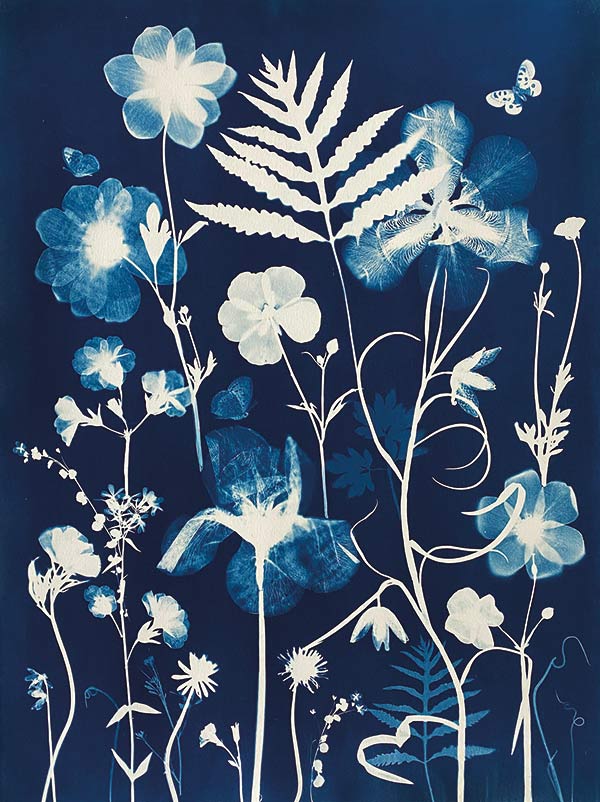 Artwork of flowers and ferns